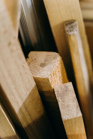 Close-Up Shot of Timber Woods