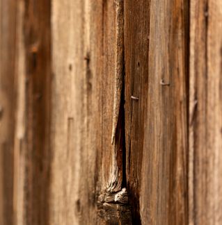 Weathered wooden planks showcasing rustic textures and natural aging